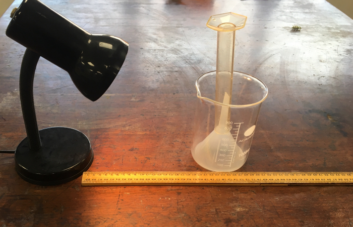 Measuring the rate of photosynthesis